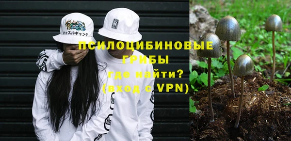 ешки Балахна
